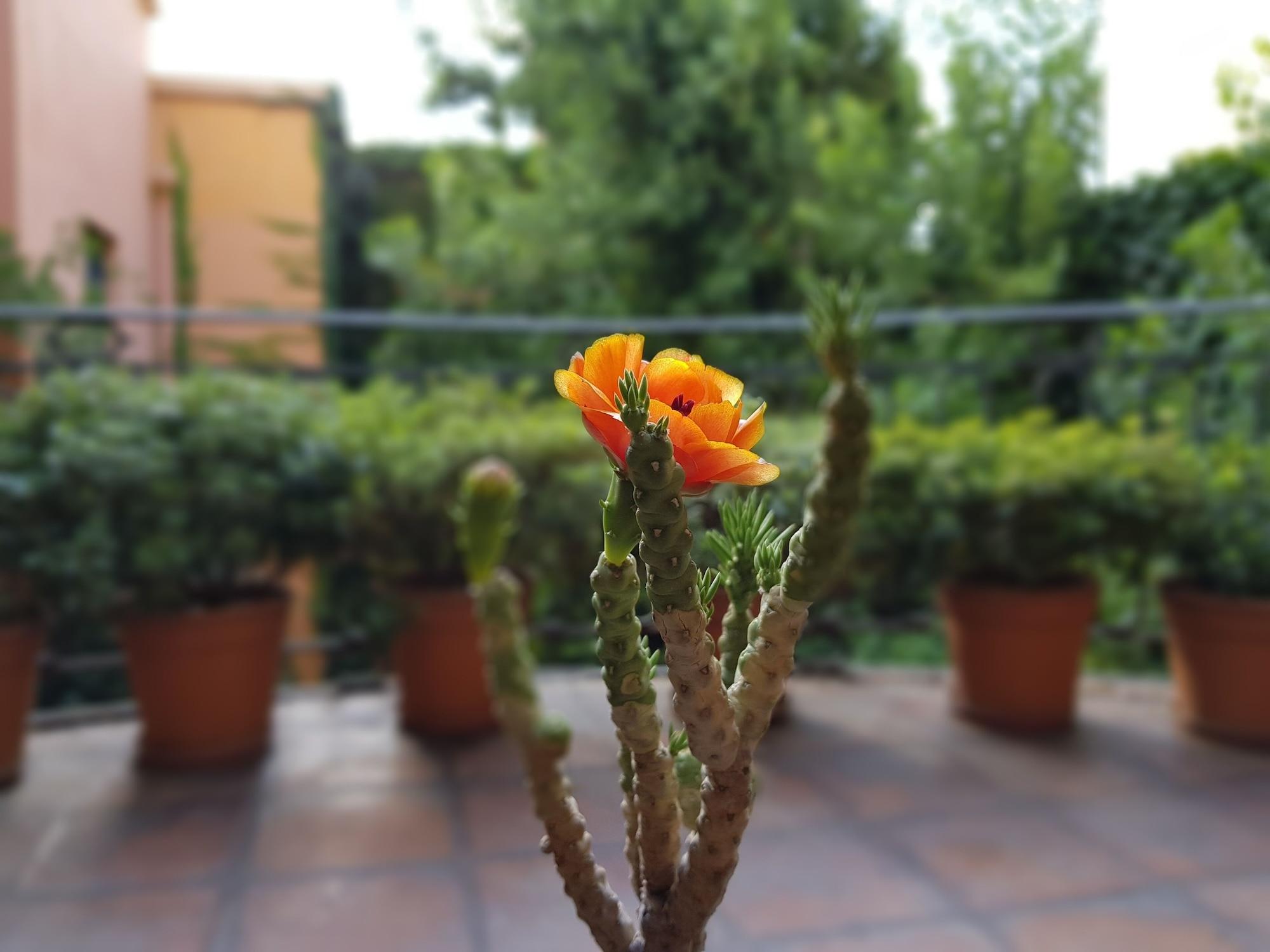 Legado Mitico Salta Hotel Boutique Zewnętrze zdjęcie